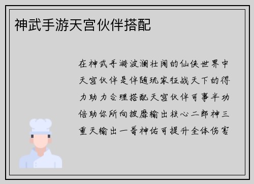 神武手游天宫伙伴搭配